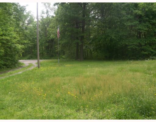 167 Byron Center Road Emlenton, PA 16373 - Photo 4 of 11 Land/Lot. View of front yard from house