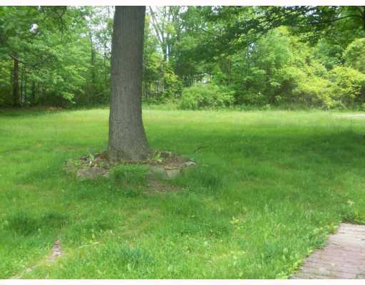 167 Byron Center Road Emlenton, PA 16373 - Photo 5 of 11 Land/Lot. Back yard has some nice oak trees