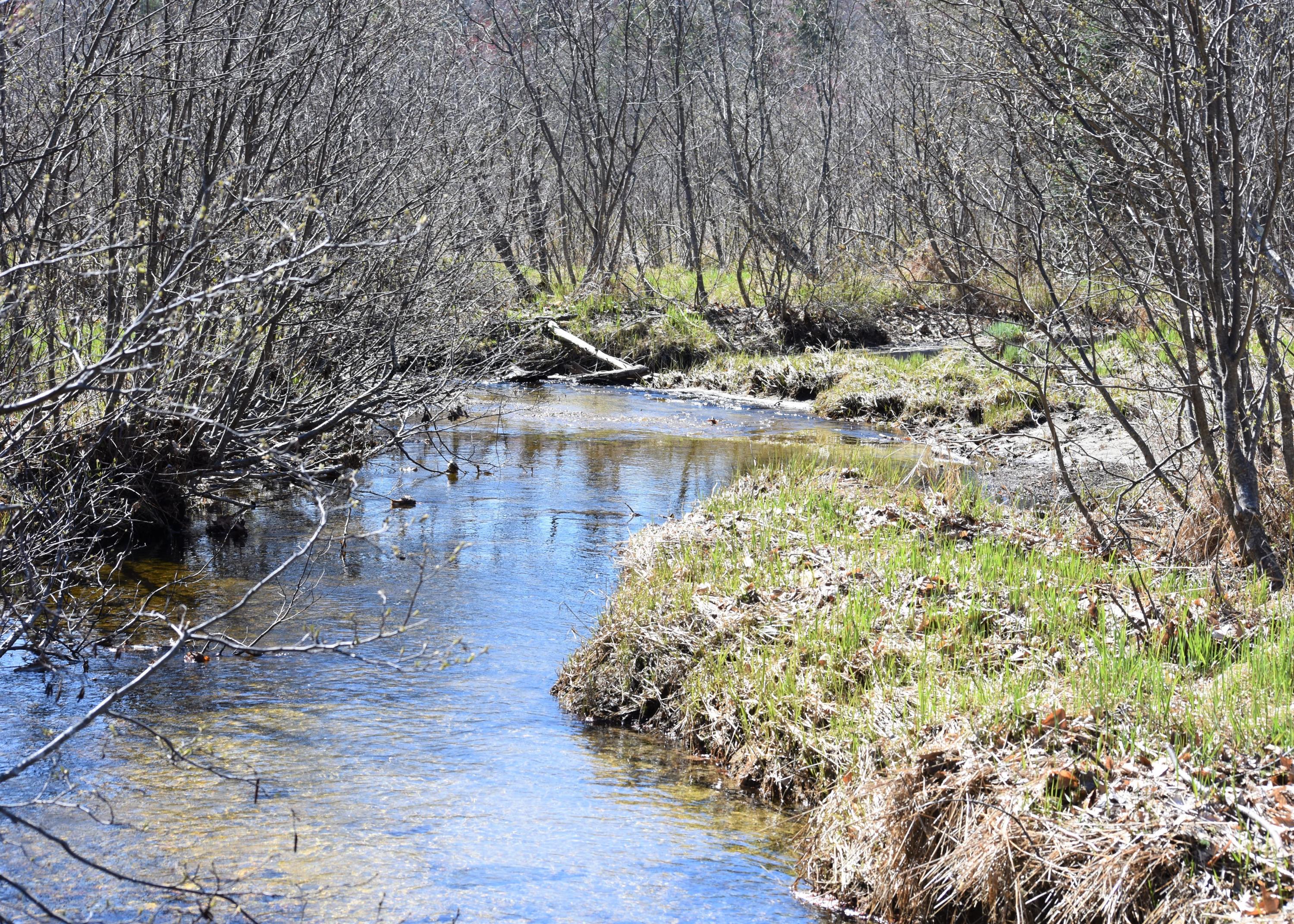 53 Twitchell Road Bryant Pond, ME 04219 - Photo 15 of 32 DSC_0121