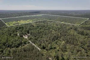 $320,000 | 128-ac Armstrong Road, Brooklyn, MS 39425