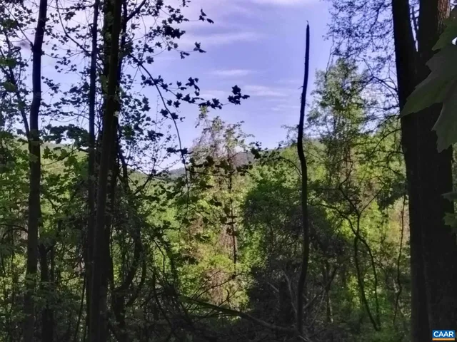 a view of outdoor space with trees