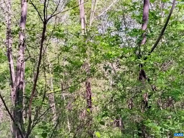 a view of outdoor space and trees