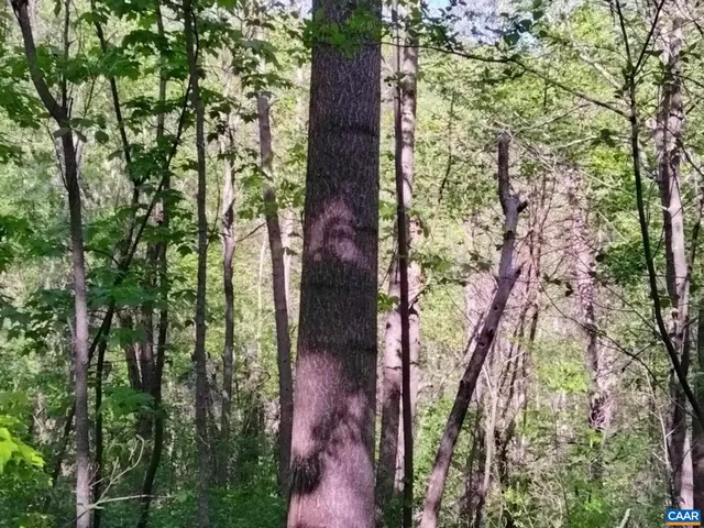 $299,000 | Tbd Tbd Old Blue Ridge Turnpike, Syria, VA 22743