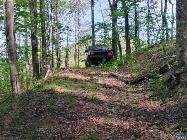 $299,000 | Tbd Tbd Old Blue Ridge Turnpike, Syria, VA 22743