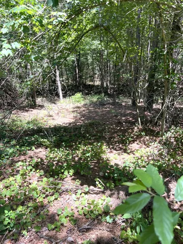 $59,900 | 0 Crockett Pointe, Unit J179, Jasper, TN 37347