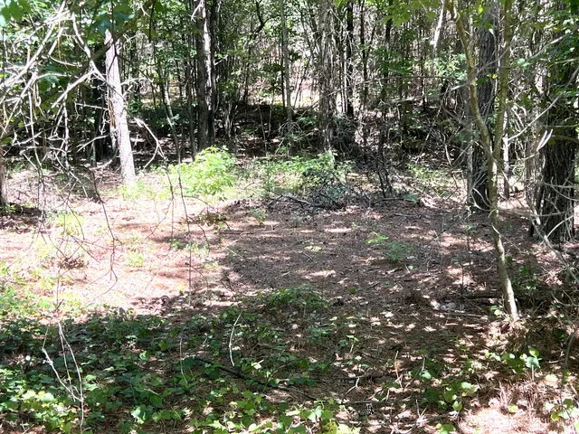 $59,900 | 0 Crockett Pointe, Unit J179, Jasper, TN 37347