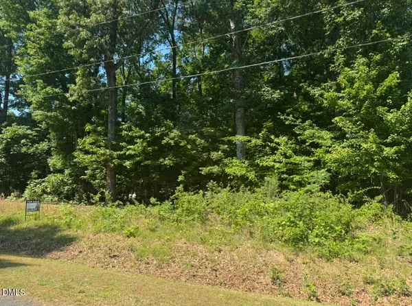 a view of a yard