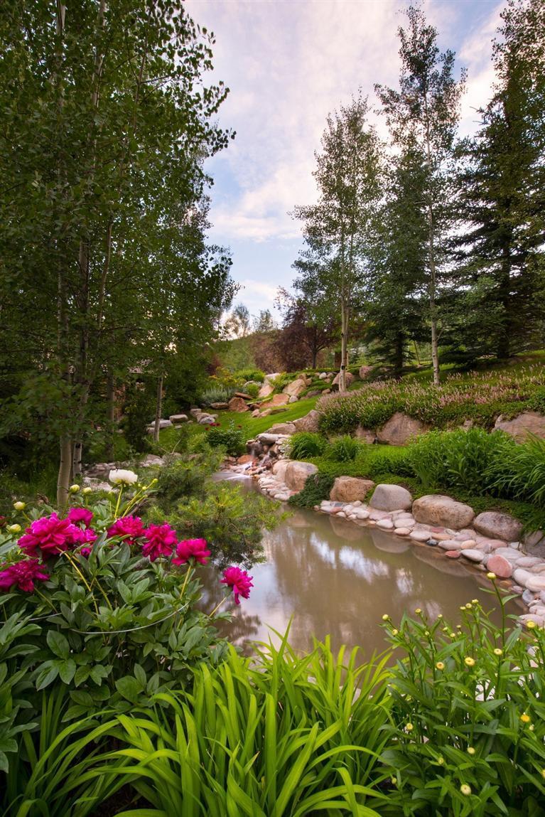 59 Borders Road Beaver Creek, CO 81620 - Photo 19 of 25 a view of a flower in a garden