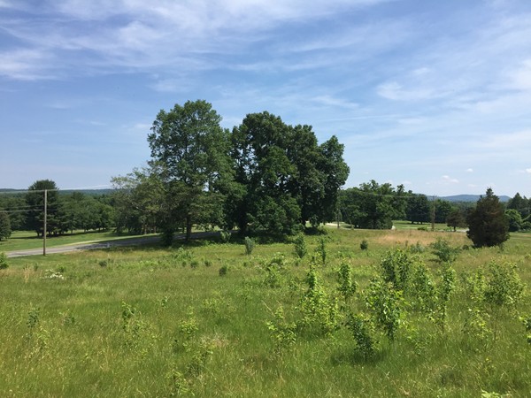 149 Sheep Pasture Road Southwick, MA 01077 - Photo 4 of 9 Gallery Image 4