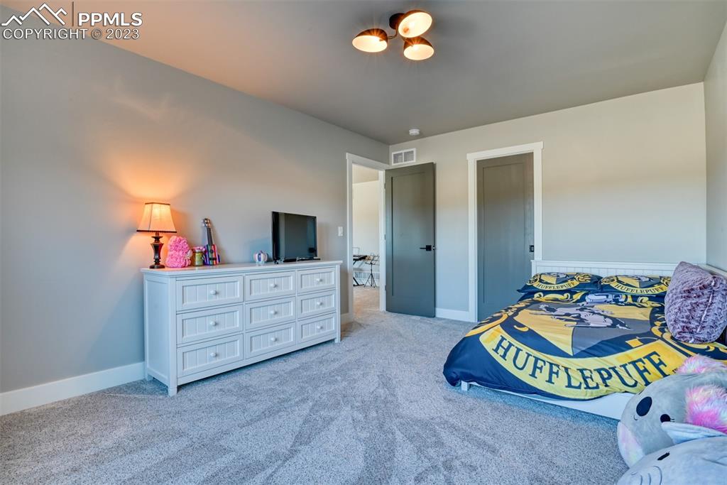 14149 Stone Eagle Place Colorado Springs, CO 80921 - Photo 42 of 47