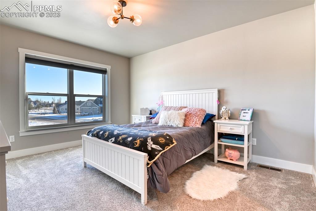14149 Stone Eagle Place Colorado Springs, CO 80921 - Photo 44 of 47 a bed sitting in a bedroom next to a window
