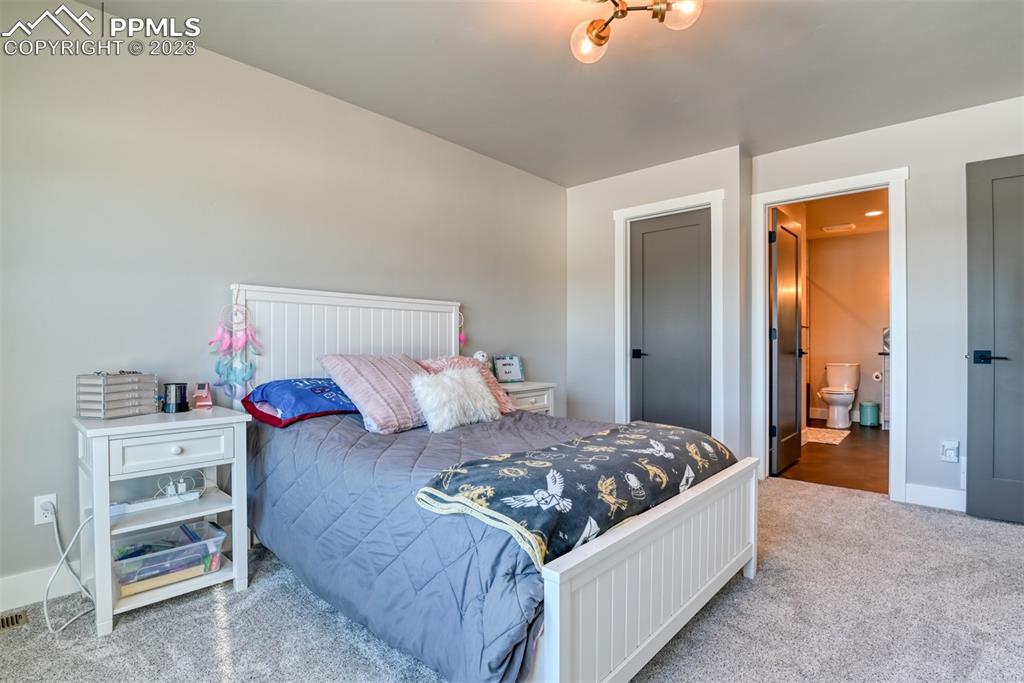 14149 Stone Eagle Place Colorado Springs, CO 80921 - Photo 45 of 47 a bedroom with a bed and a cabinets