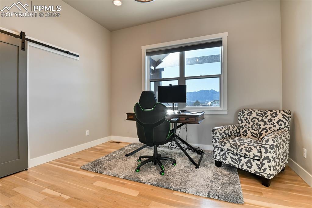 14149 Stone Eagle Place Colorado Springs, CO 80921 - Photo 9 of 47 a living room with furniture rug and a window