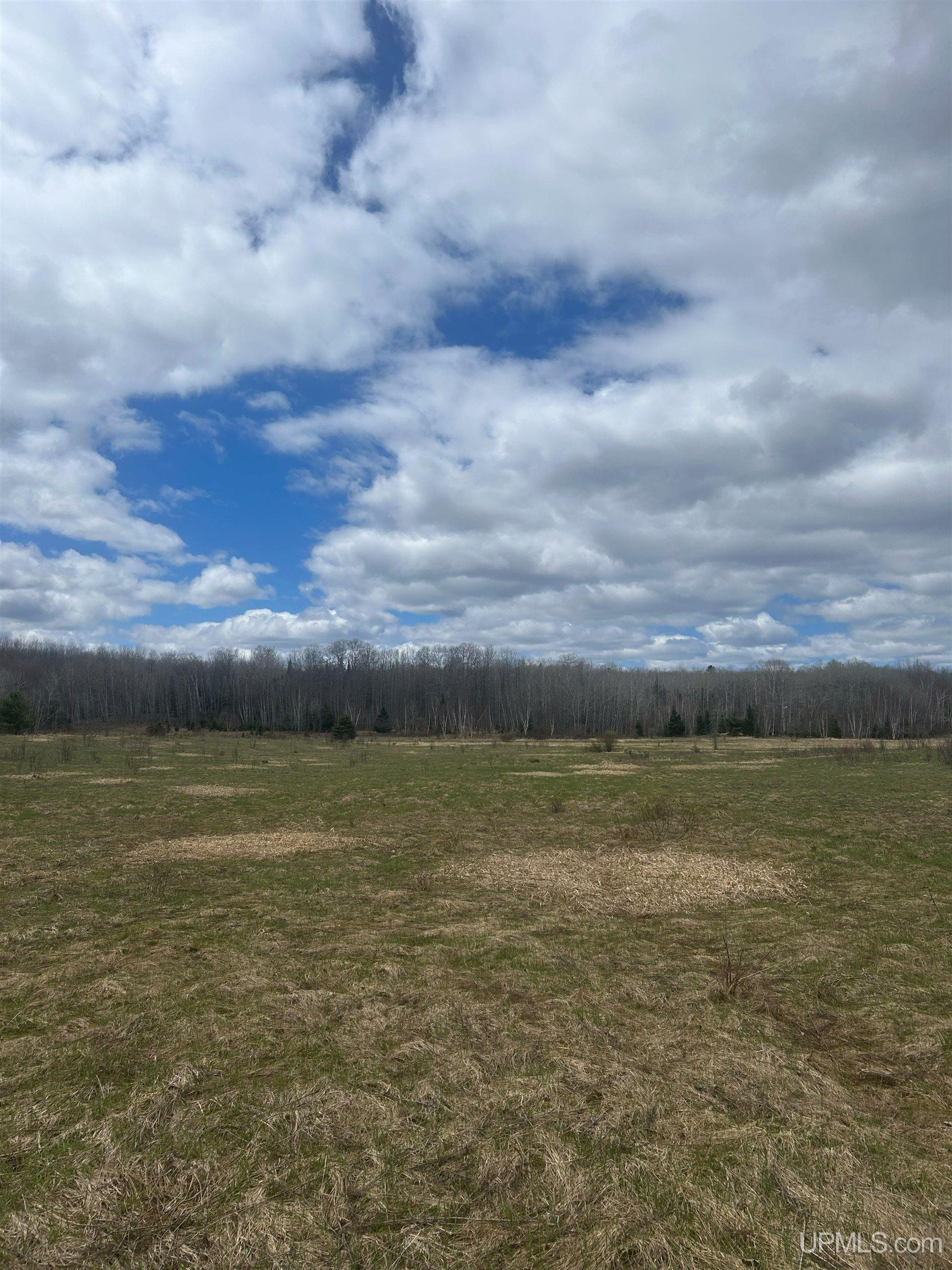 Tbd 10-1 Mill Pond Road Trout Creek, MI 49967 - Photo 3 of 23
