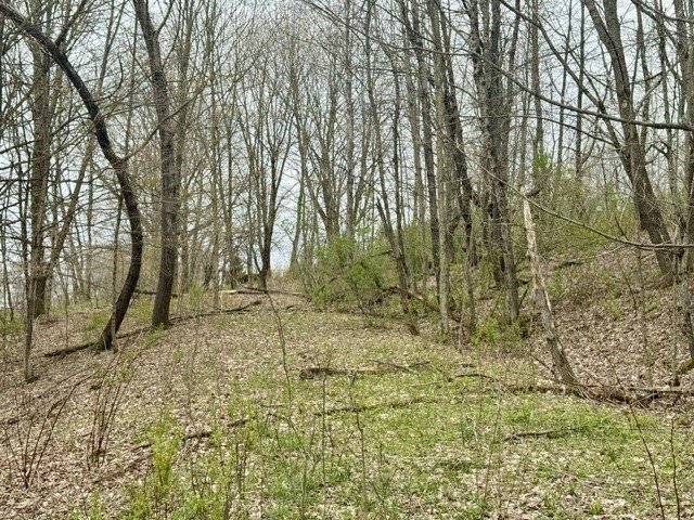 Lot 4 Shaver Hill Road Meridale, NY 13806 - Photo 3 of 44