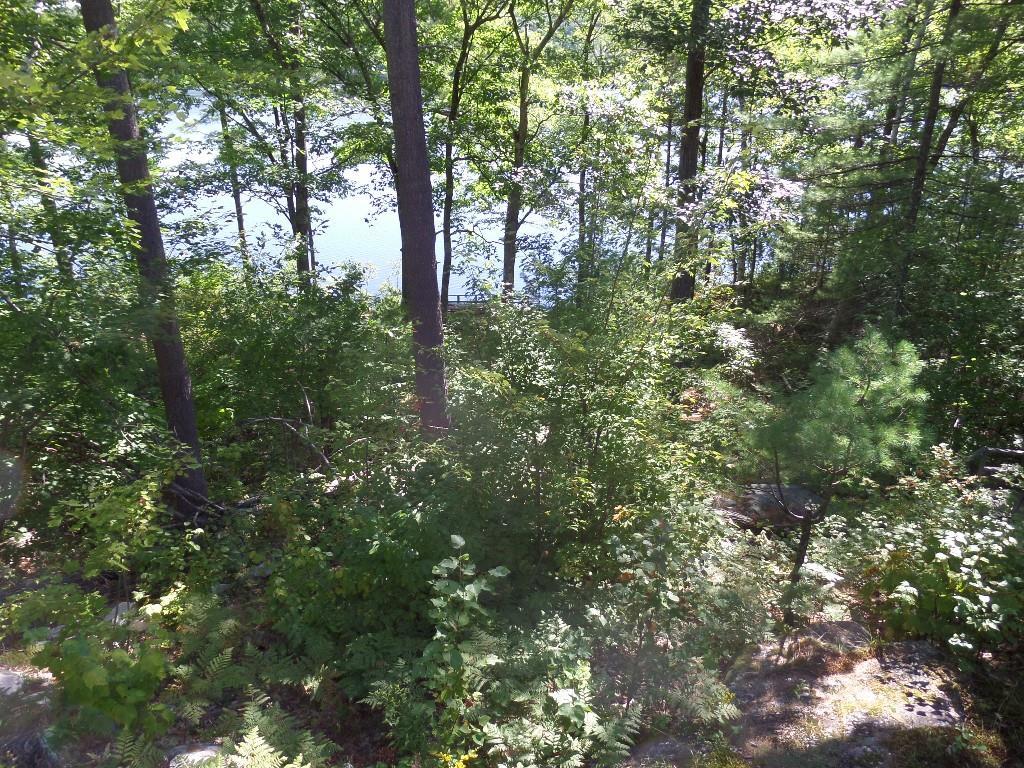 73 Oak Shore Road Harrison, ME 04040 - Photo 32 of 35 Photo