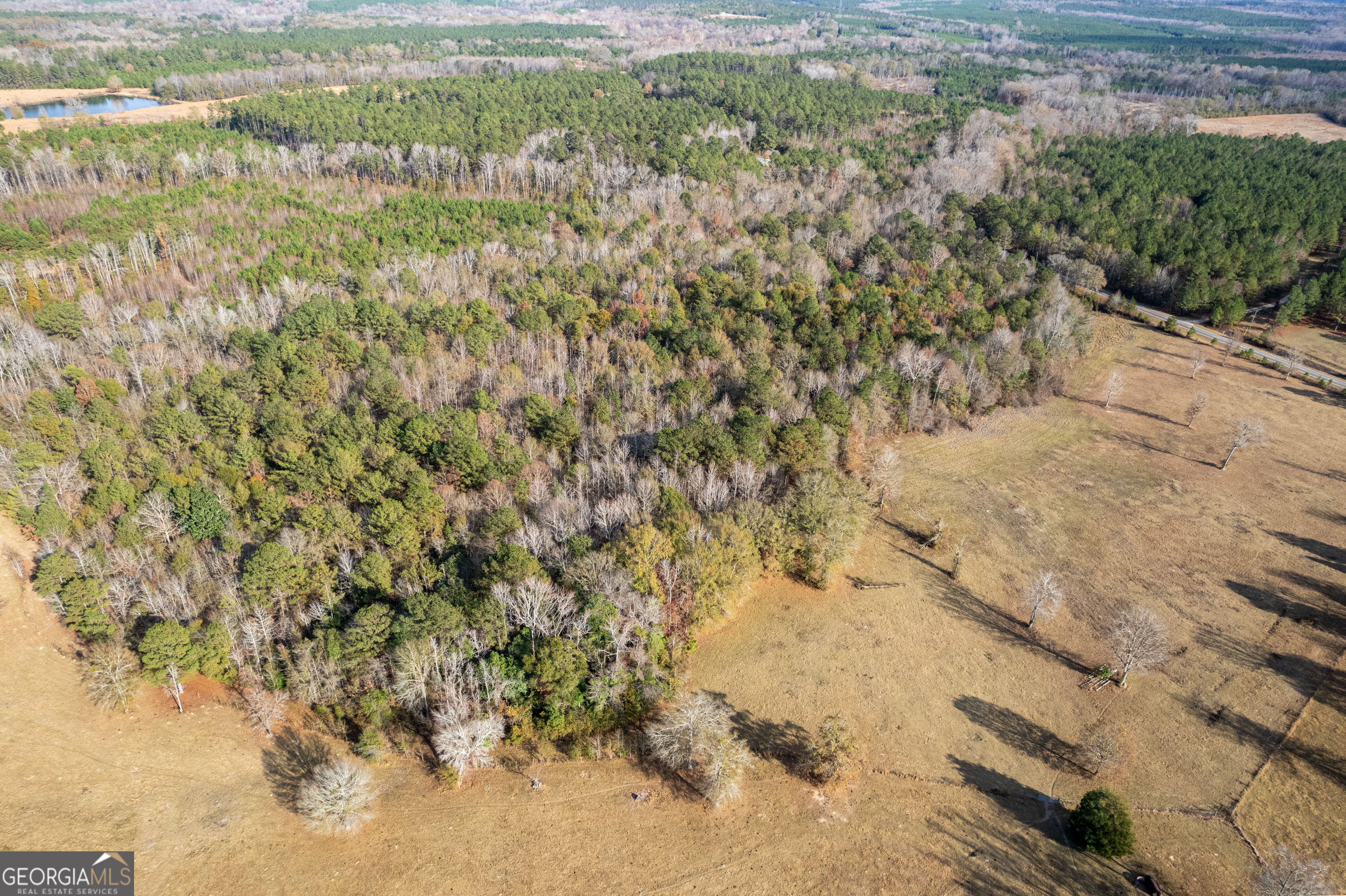 485 Thompson Road Sparta, GA 31087 - Photo 17 of 84