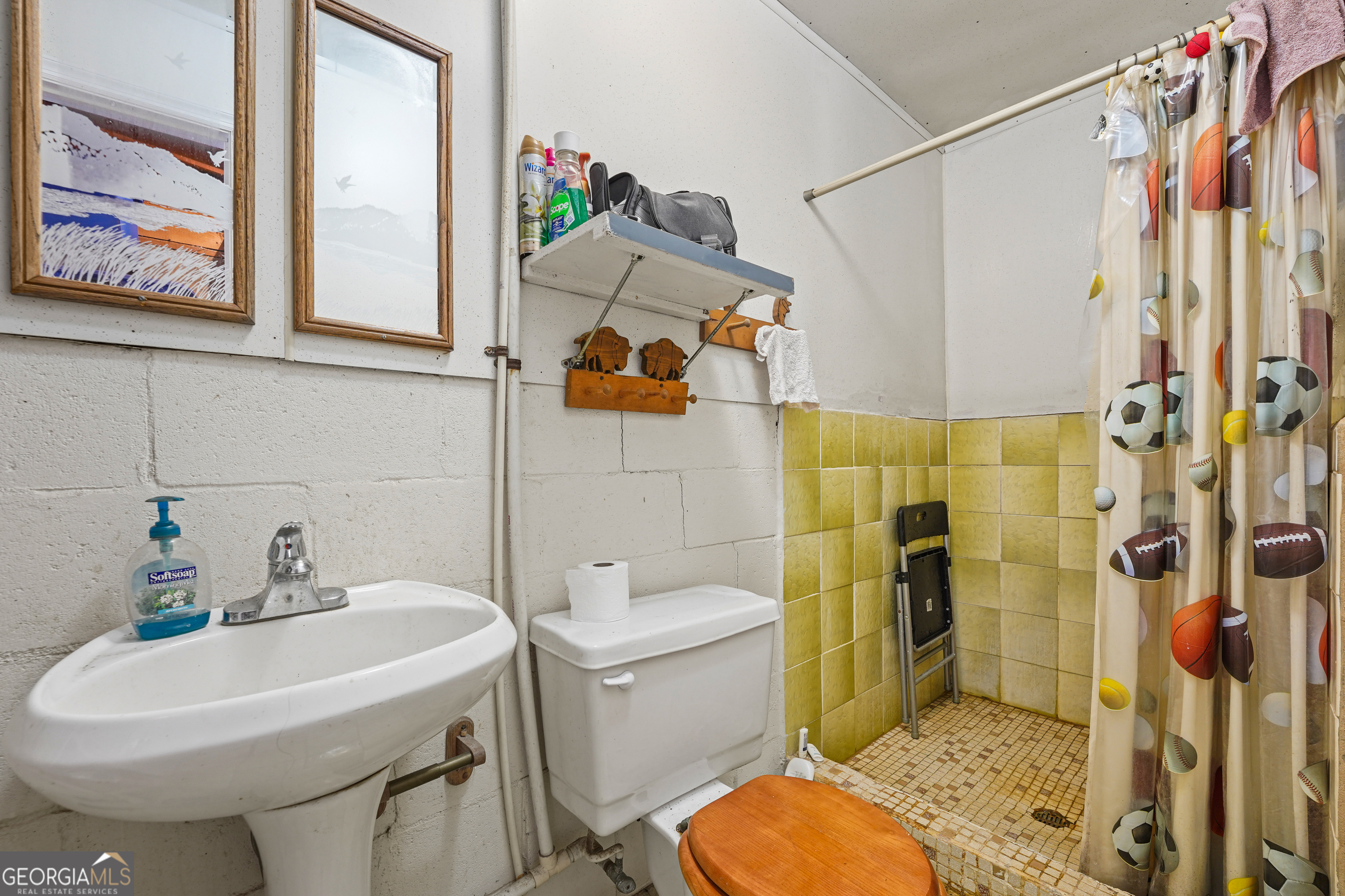 485 Thompson Road Sparta, GA 31087 - Photo 47 of 84