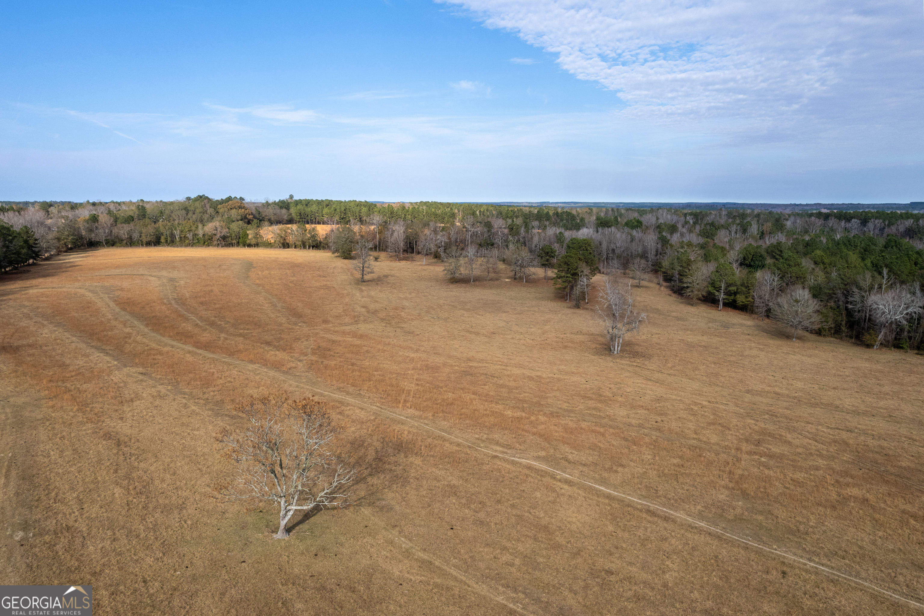 485 Thompson Road Sparta, GA 31087 - Photo 6 of 84
