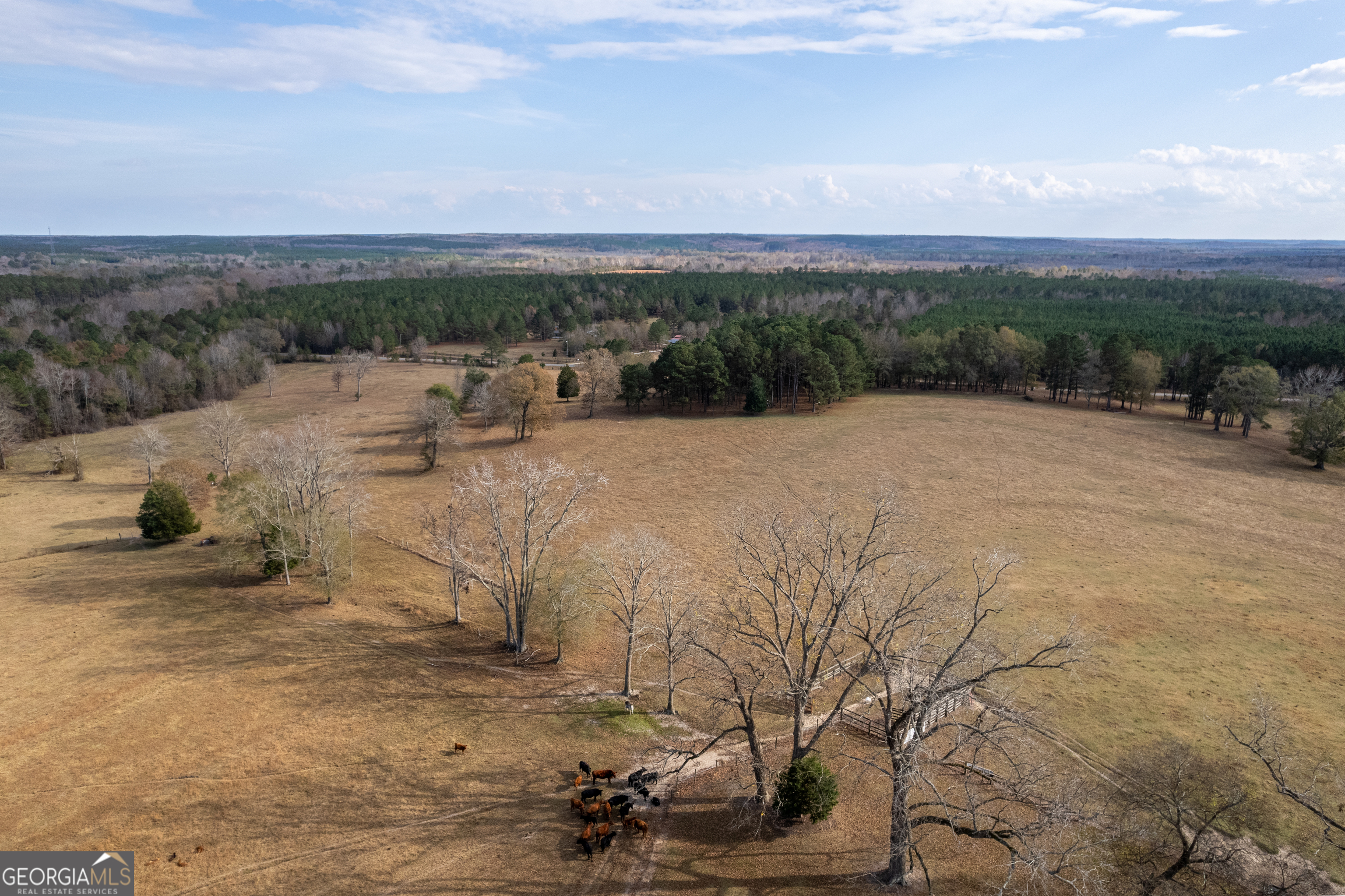 485 Thompson Road Sparta, GA 31087 - Photo 7 of 84