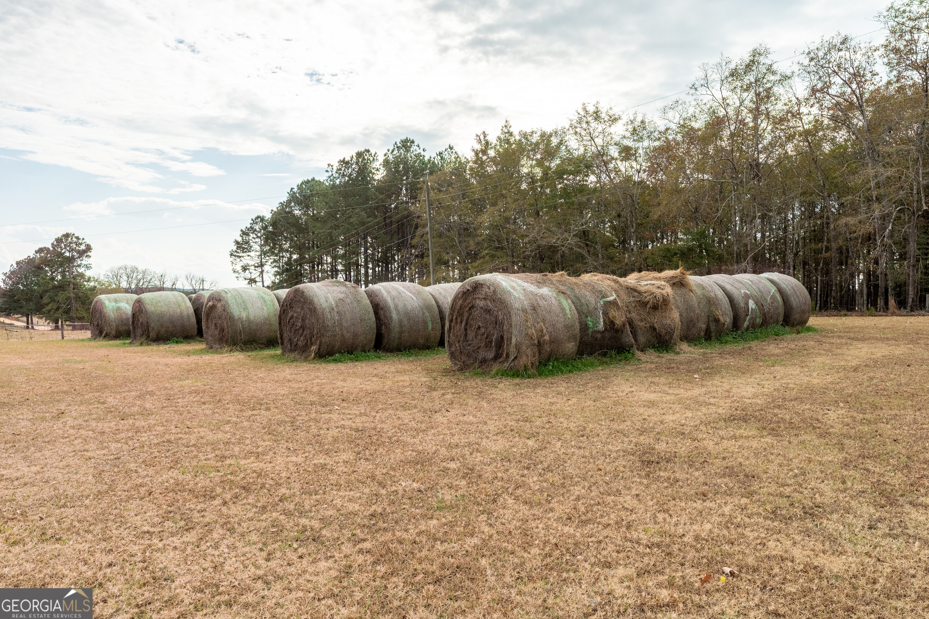 485 Thompson Road Sparta, GA 31087 - Photo 76 of 84