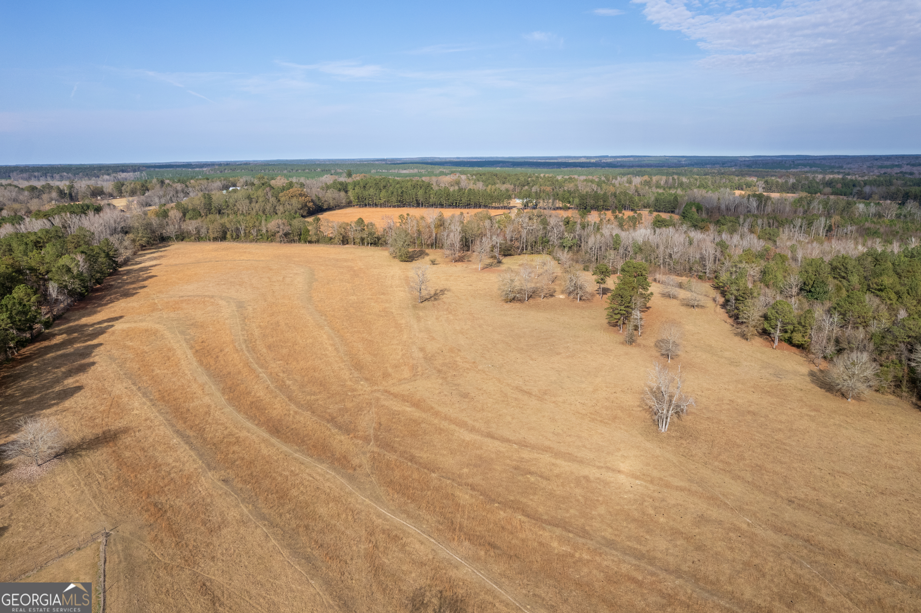 485 Thompson Road Sparta, GA 31087 - Photo 8 of 84