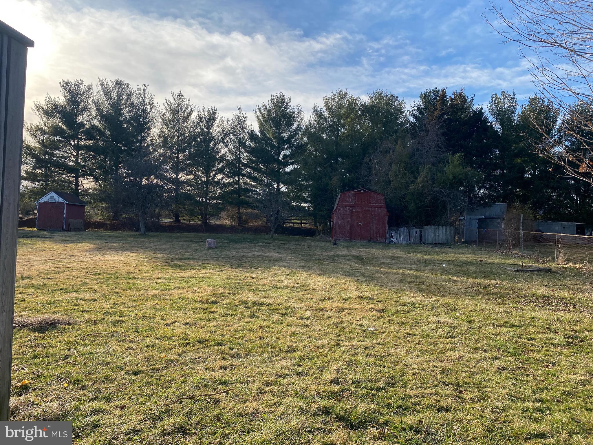 183 Shepherds Mill Road Berryville, VA 22611 - Photo 12 of 12 Flat open backyard