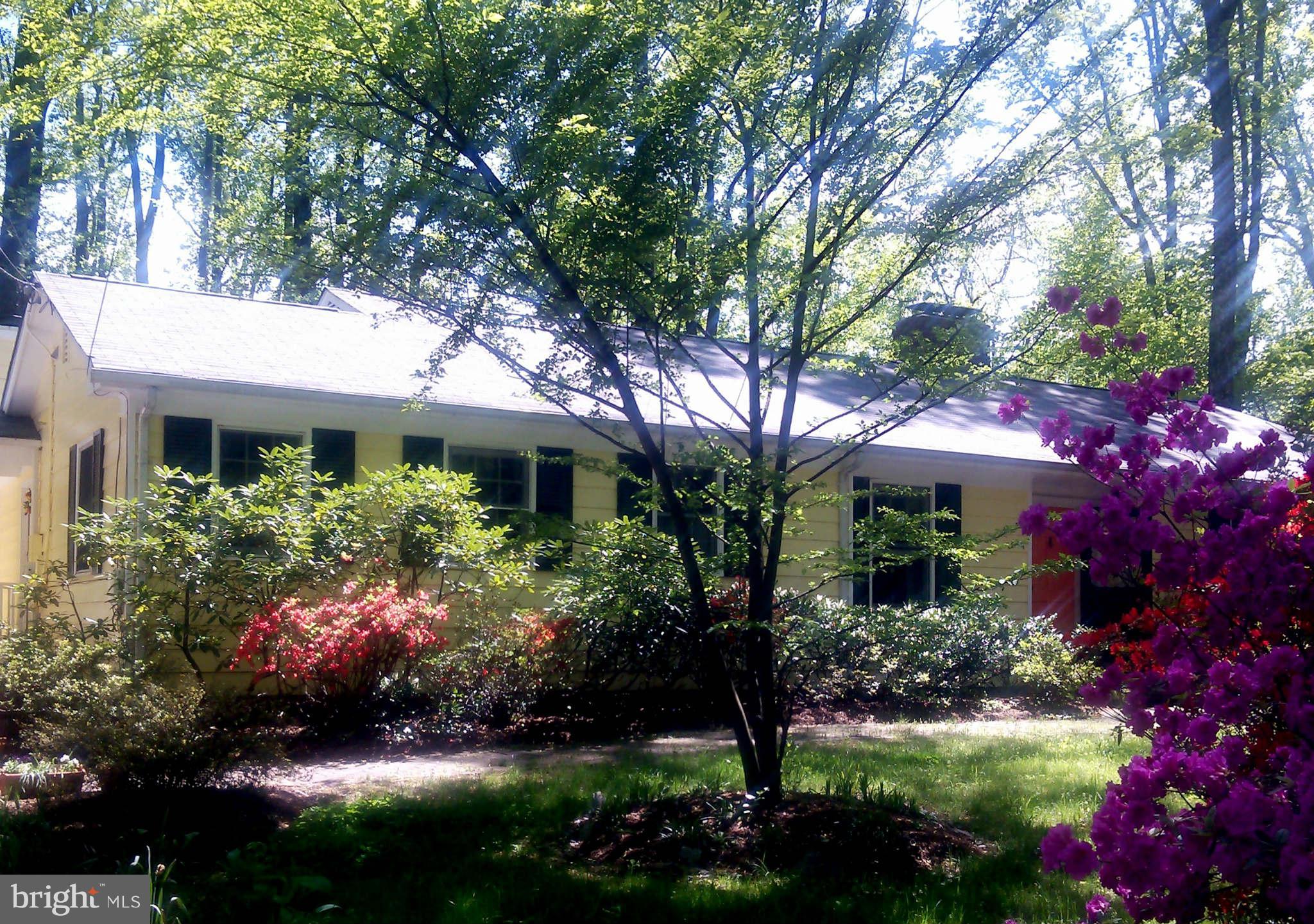 507 Epping Forest Road Annapolis, MD 21401 - Photo 1 of 30 Private front garden in full spring bloom!