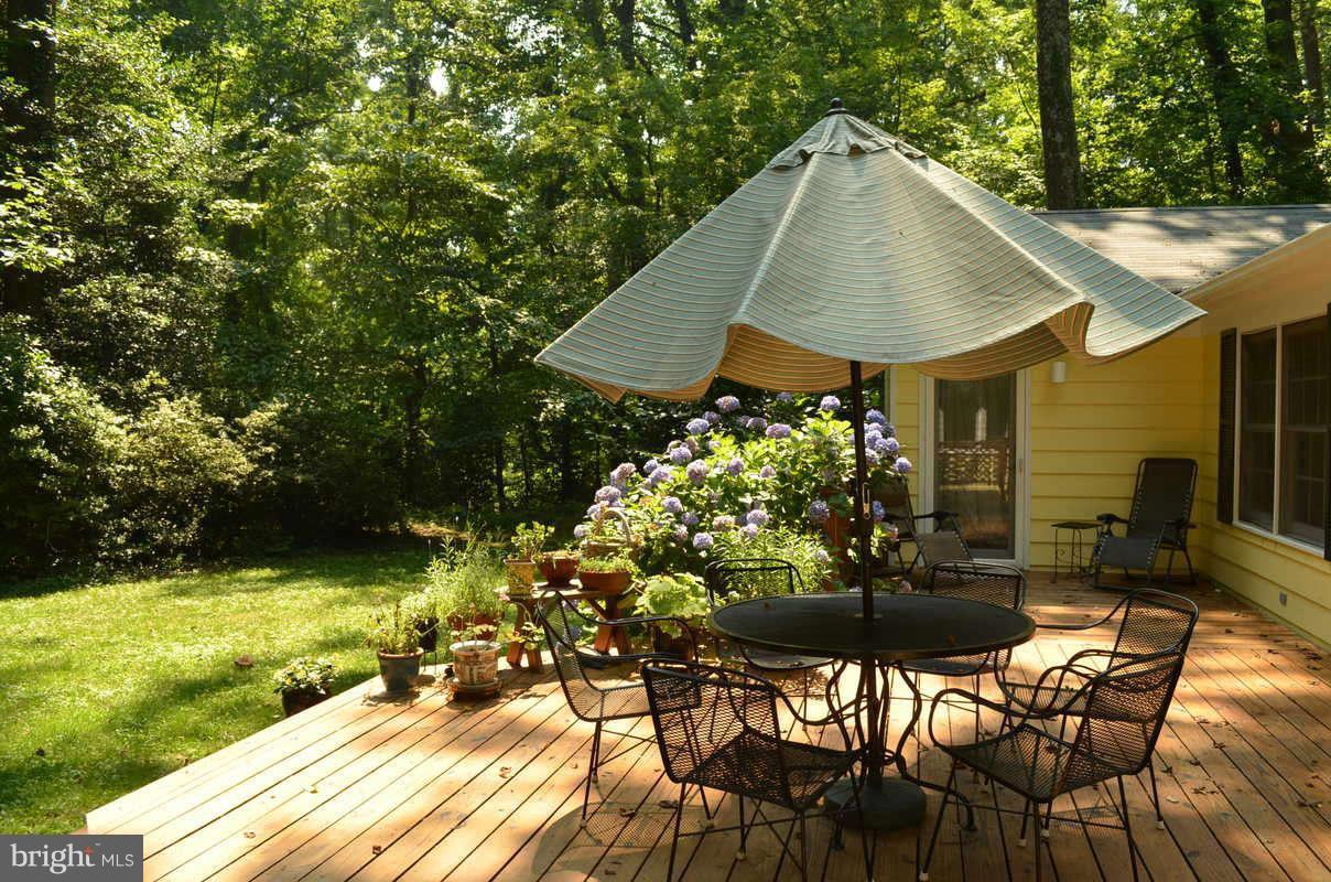 507 Epping Forest Road Annapolis, MD 21401 - Photo 11 of 30 Large deck overlooking gorgeous gardens