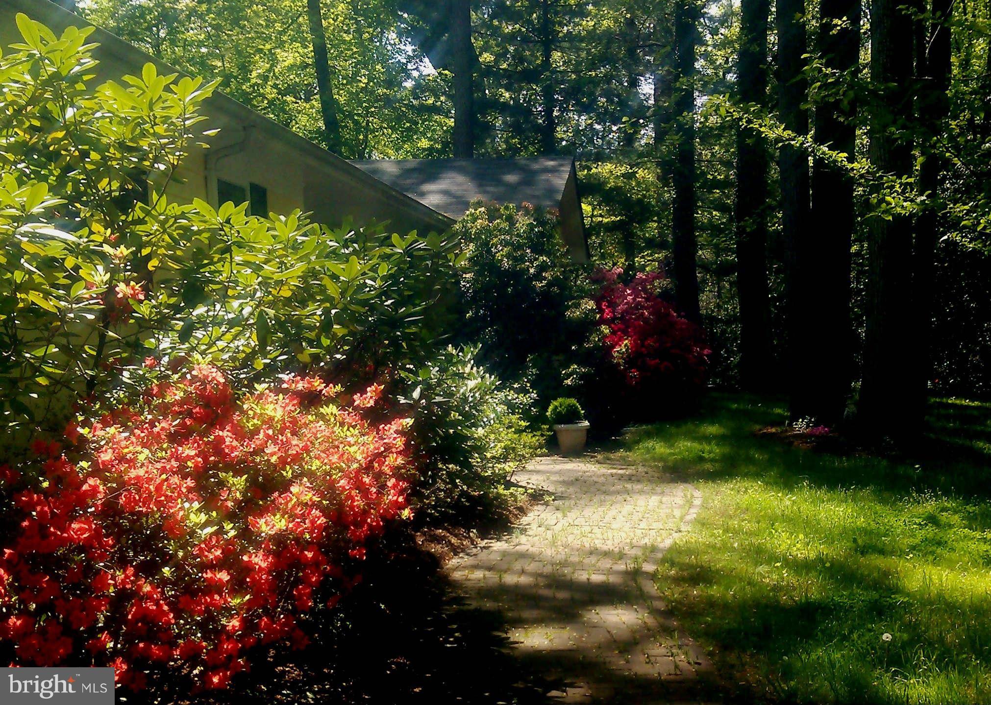 507 Epping Forest Road Annapolis, MD 21401 - Photo 26 of 30 Beautiful spring azaleas!
