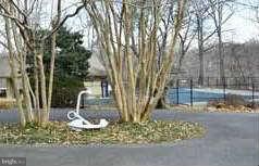 507 Epping Forest Road Annapolis, MD 21401 - Photo 28 of 30 Community Pool