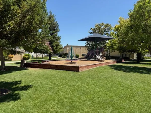a view of a park with large trees