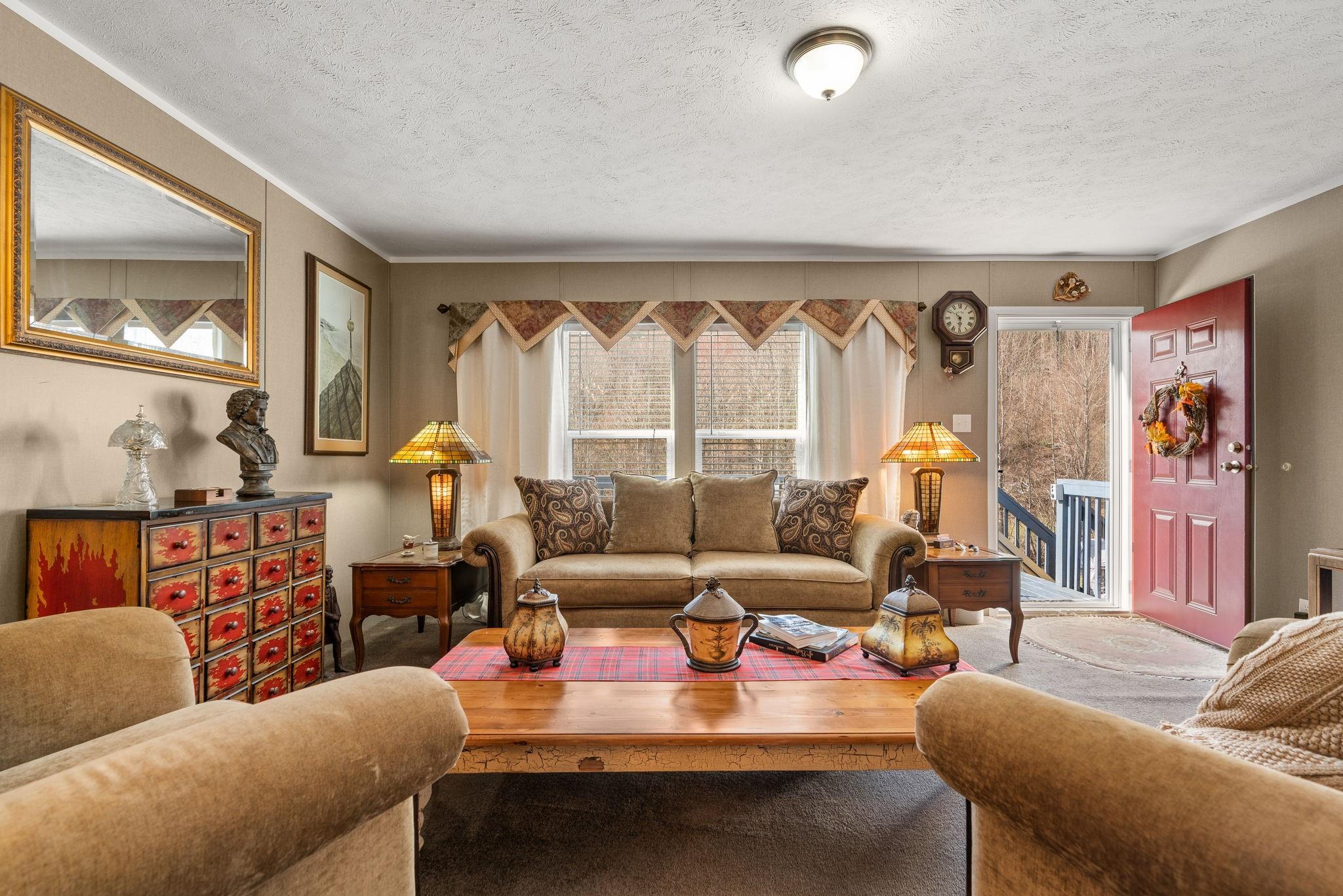 46 Mink Farm Road Leicester, NC 28748 - Photo 5 of 37 Gallery Image 5