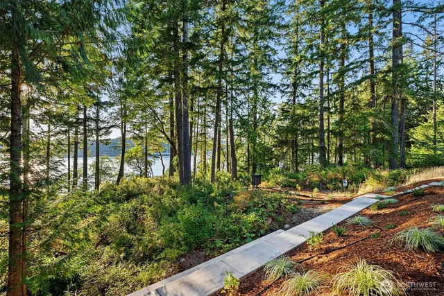 a view of outdoor space with lots of trees