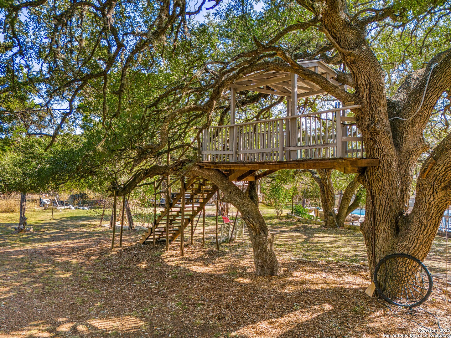 166 Bridle Path Spring Branch, TX 78070 - Photo 35 of 48 a view of a yard with plants and trees