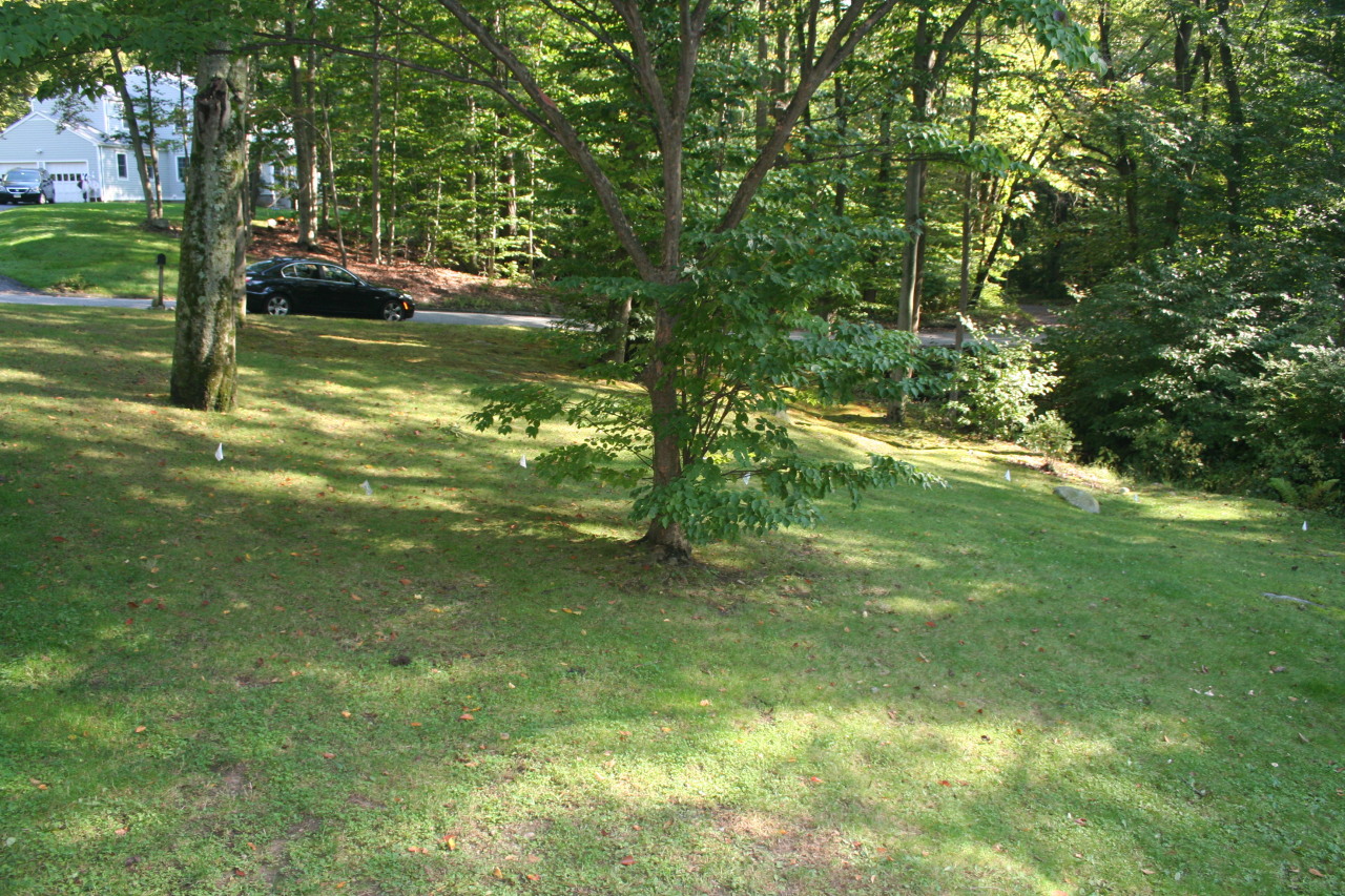 71 Silver Ridge Road New Canaan, CT 06840 - Photo 27 of 29 a view of a trees in a yard