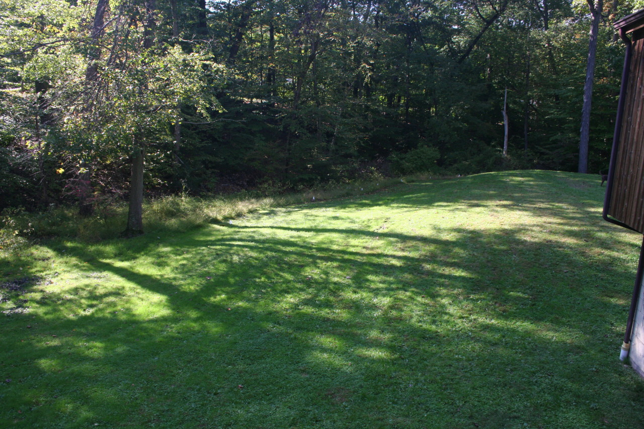 71 Silver Ridge Road New Canaan, CT 06840 - Photo 29 of 29 a view of a yard