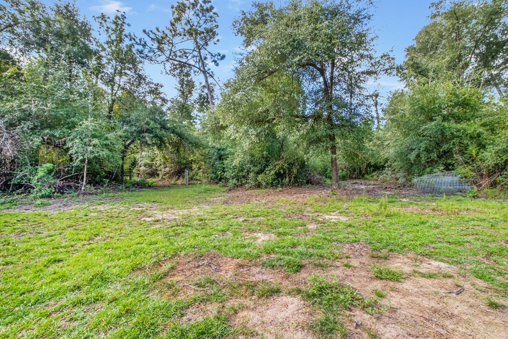 Undisclosed Address Gordon, AL 36343 - Photo 14 of 22