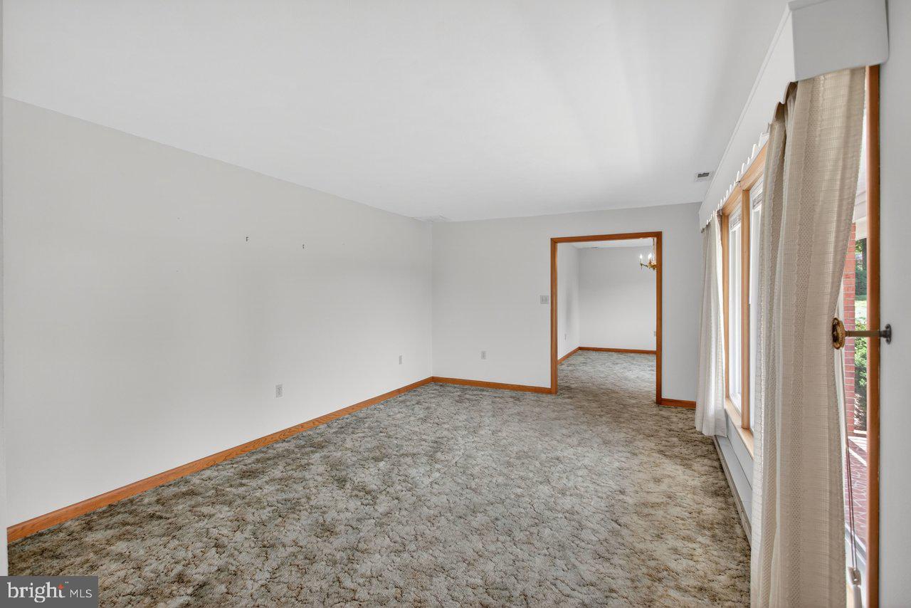 255 Verbena Road Shenandoah, VA 22849 - Photo 6 of 43