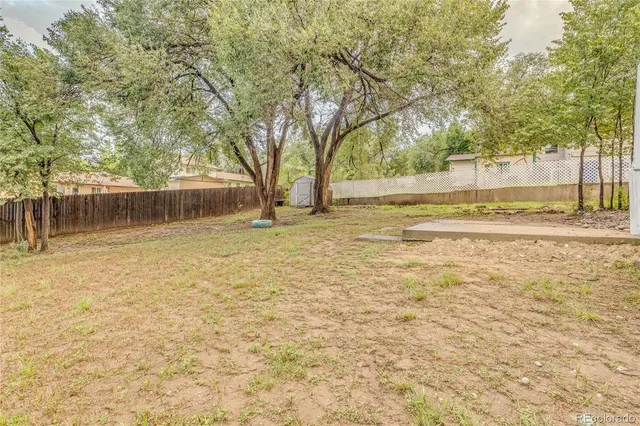 a view of a yard with a tree