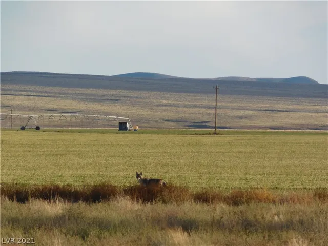 $12,500 | 2 Pennoyer Farm Road, Alamo, NV 89001