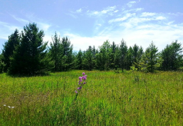 Lot B Lakeview Road Ellison Bay, WI 54210 - Photo 1 of 1