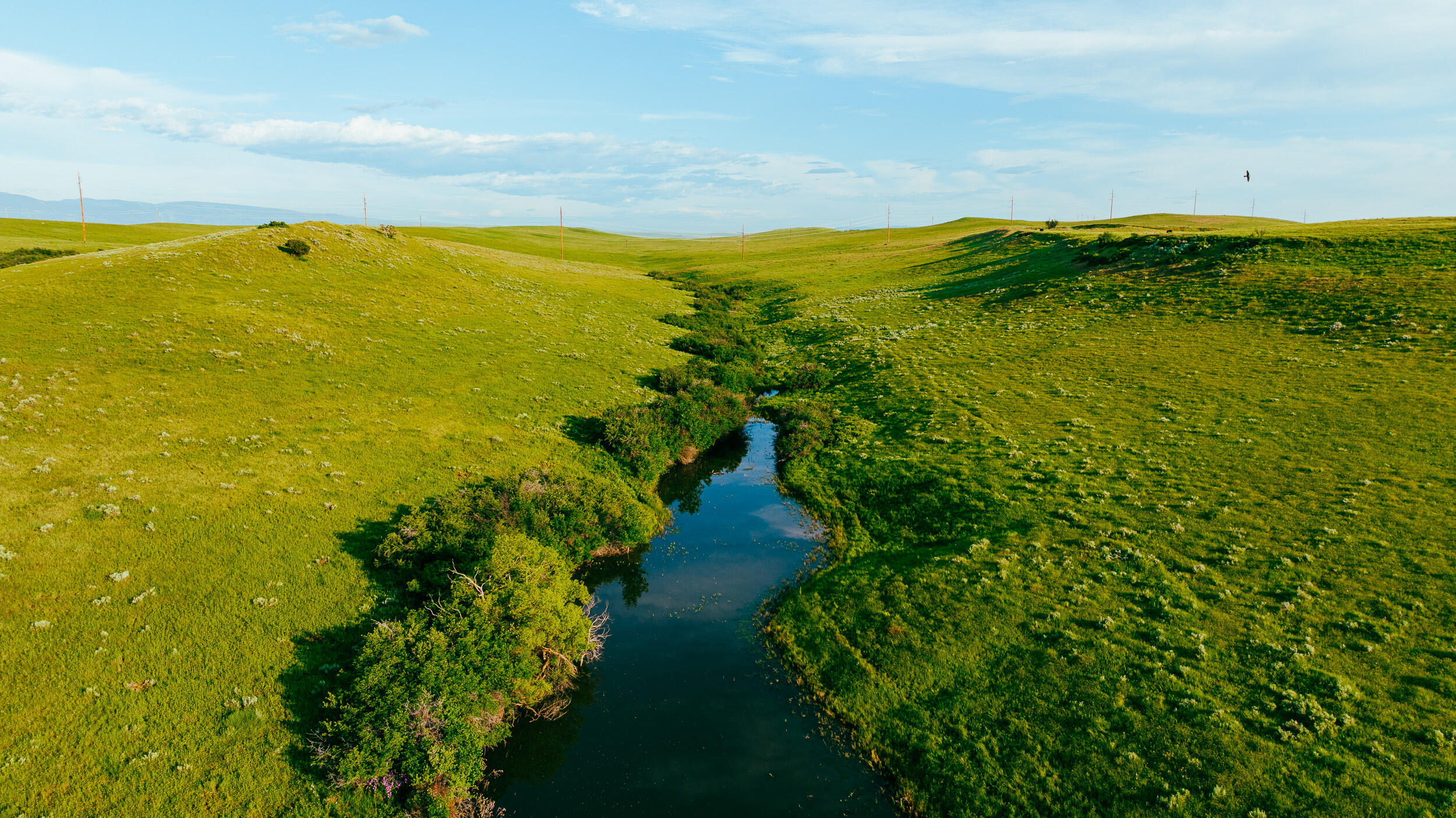 Lane Sheridan, WY 82801 - Photo 41 of 85 18.