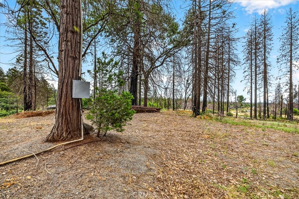 9627 Cohasset Road Chico, CA 95973 - Photo 10 of 29