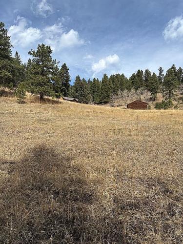 33601 Stransky Road Evergreen, CO 80439 - Photo 22 of 28