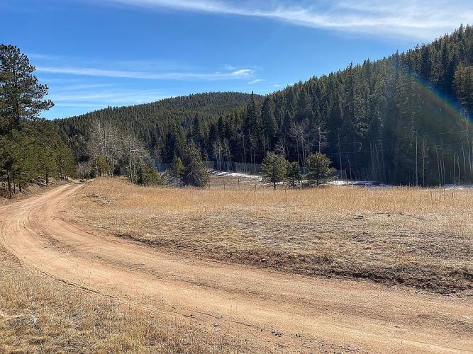 33601 Stransky Road Evergreen, CO 80439 - Photo 3 of 28