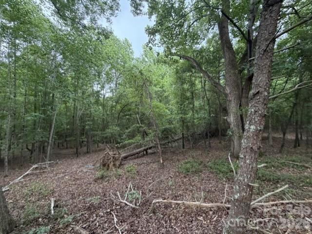 1100 Blacksburg Road Grover, NC 28073 - Photo 19 of 24