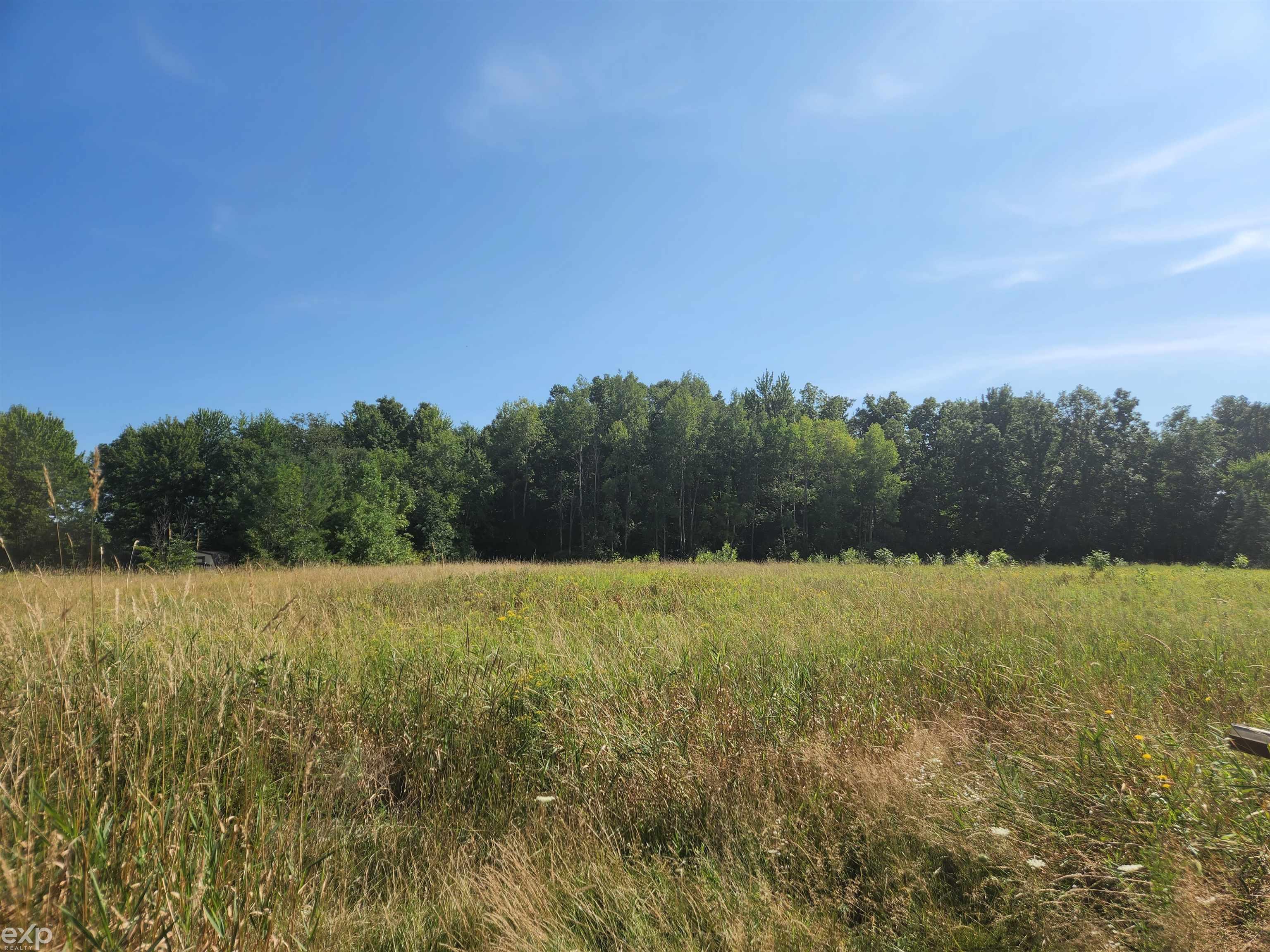 13751 Mesmer Road Allenton, MI 48002 - Photo 3 of 42 50088366-2.JPG