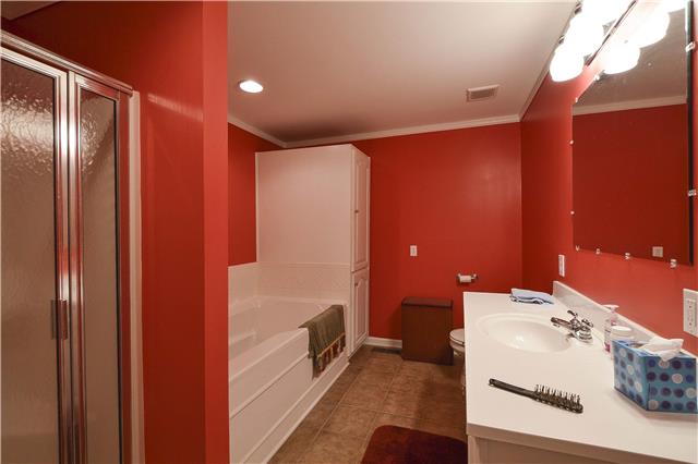 272 Revilo Road Leoma, TN 38468 - Photo 15 of 20 a bathroom with a sink and a mirror