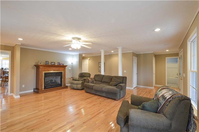 272 Revilo Road Leoma, TN 38468 - Photo 3 of 20 a living room with furniture and a fireplace